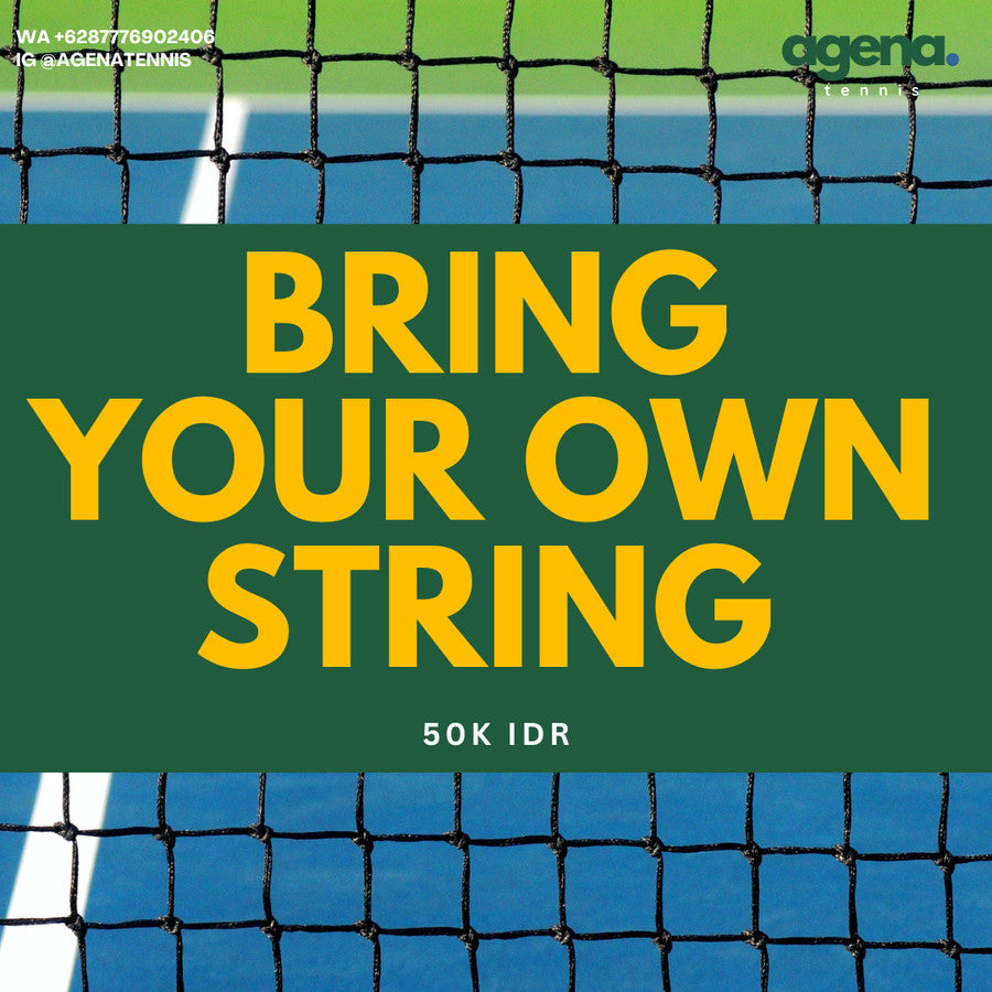 String Wilson Spin Effect Hybrid Gauge 17