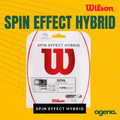 String Wilson Spin Effect Hybrid Gauge 17